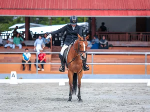 Seminar Young Horse Judging, Menuju Era Penjurian Dressage Yang Lebih Profesional